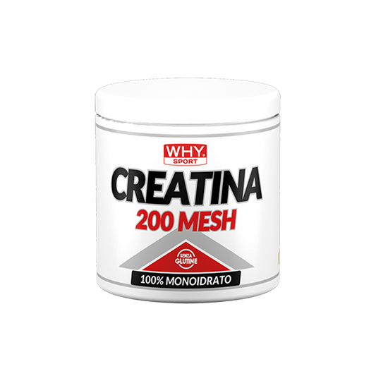 CREATINA 200 MESH 200g WHY SPORT